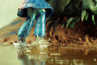 N&O-splash.jpg (88154 bytes)