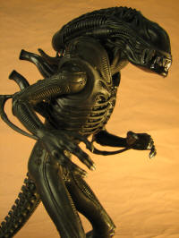 IMG_5249.JPG (558382 bytes)