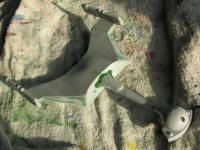 IMG_5100.jpg (767704 bytes)